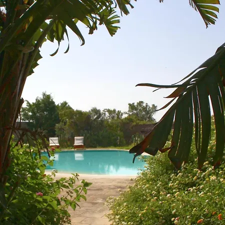 Rugiada Villa Alliste